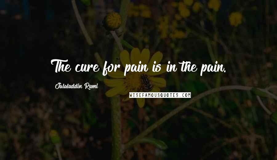 Jalaluddin Rumi Quotes: The cure for pain is in the pain.