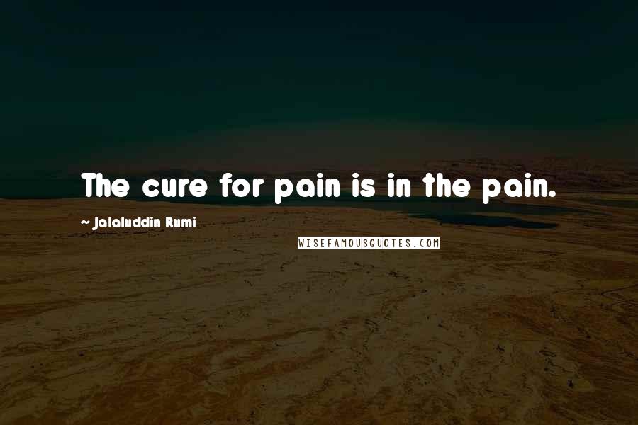 Jalaluddin Rumi Quotes: The cure for pain is in the pain.