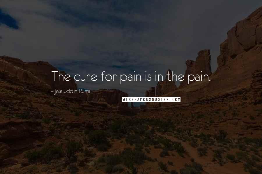 Jalaluddin Rumi Quotes: The cure for pain is in the pain.