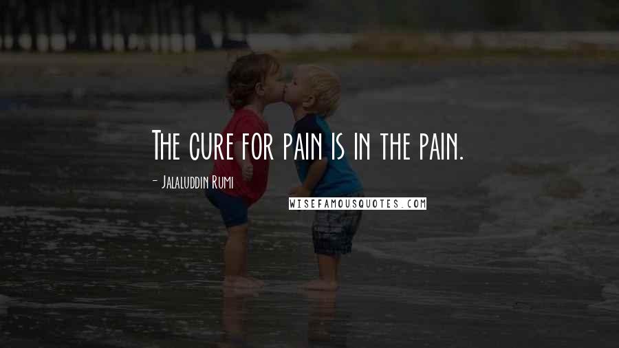 Jalaluddin Rumi Quotes: The cure for pain is in the pain.