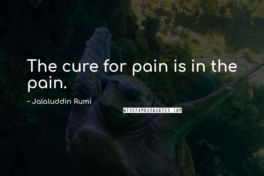 Jalaluddin Rumi Quotes: The cure for pain is in the pain.