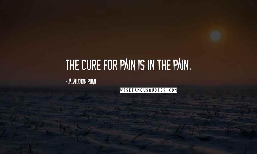 Jalaluddin Rumi Quotes: The cure for pain is in the pain.