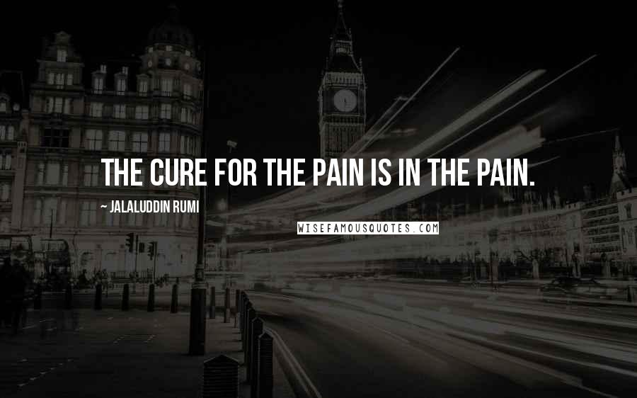 Jalaluddin Rumi Quotes: The cure for the pain is in the pain.