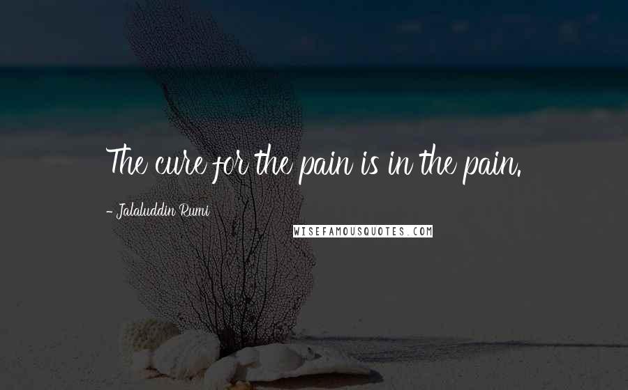 Jalaluddin Rumi Quotes: The cure for the pain is in the pain.