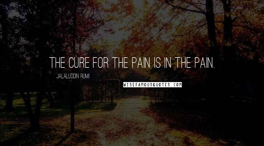 Jalaluddin Rumi Quotes: The cure for the pain is in the pain.