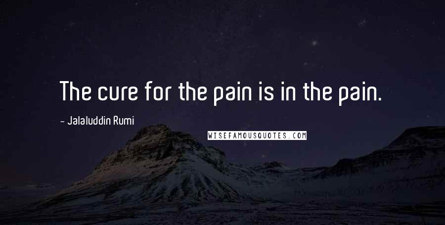 Jalaluddin Rumi Quotes: The cure for the pain is in the pain.