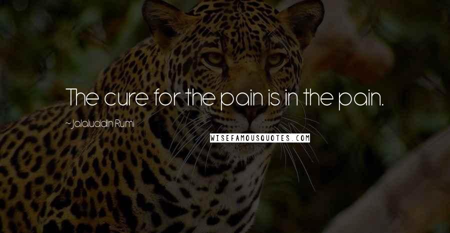 Jalaluddin Rumi Quotes: The cure for the pain is in the pain.