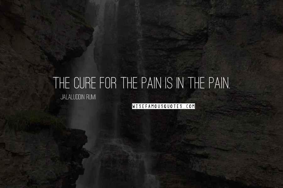 Jalaluddin Rumi Quotes: The cure for the pain is in the pain.