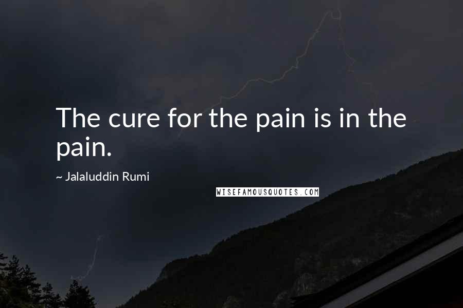 Jalaluddin Rumi Quotes: The cure for the pain is in the pain.