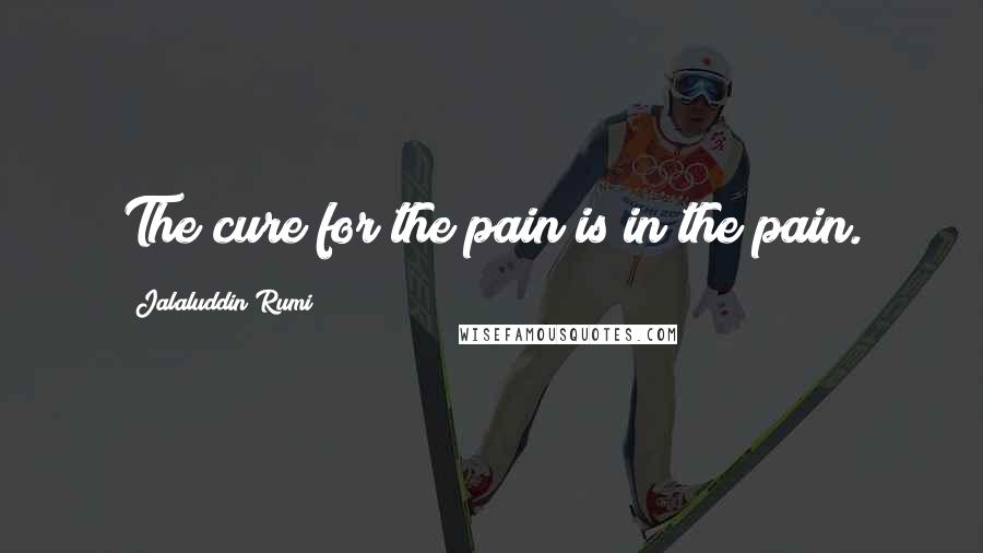 Jalaluddin Rumi Quotes: The cure for the pain is in the pain.