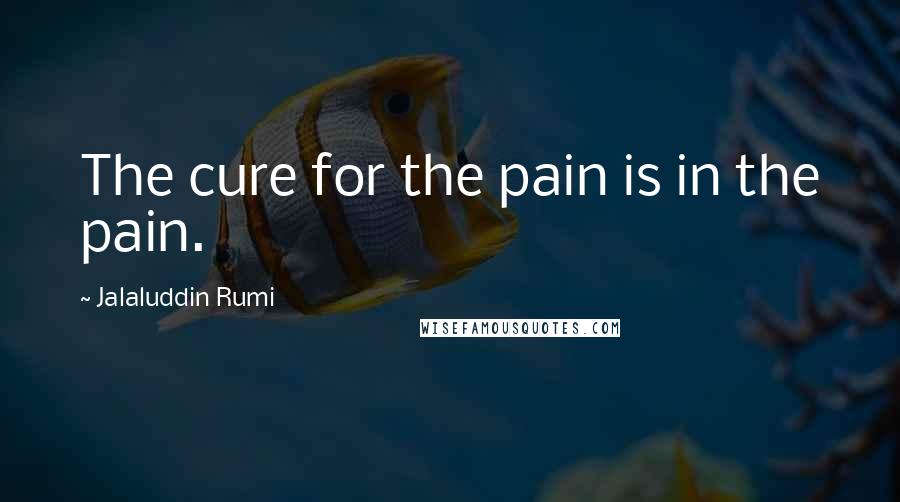 Jalaluddin Rumi Quotes: The cure for the pain is in the pain.