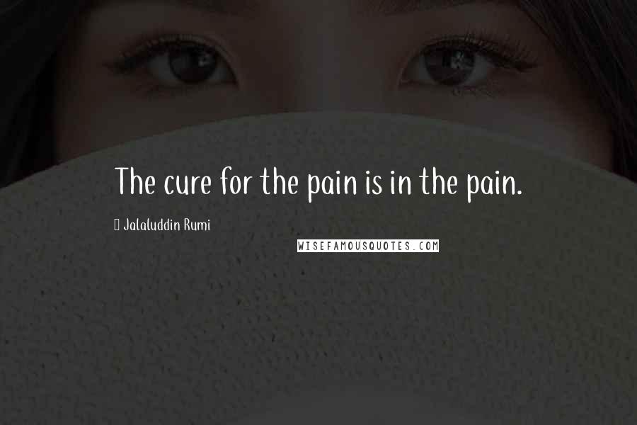 Jalaluddin Rumi Quotes: The cure for the pain is in the pain.