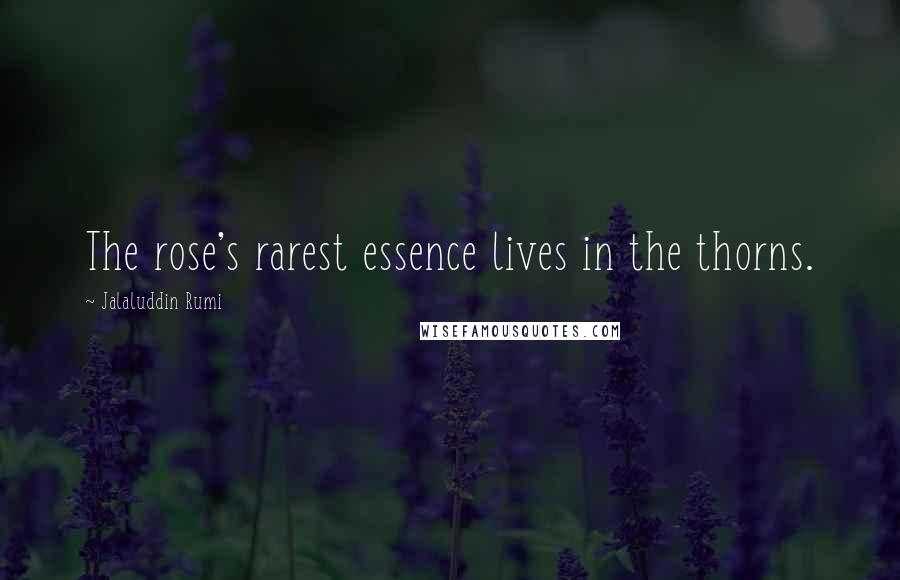 Jalaluddin Rumi Quotes: The rose's rarest essence lives in the thorns.