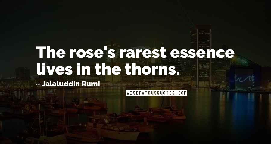 Jalaluddin Rumi Quotes: The rose's rarest essence lives in the thorns.