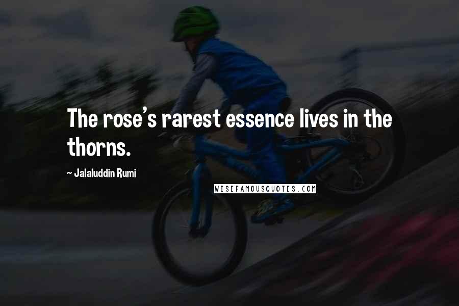 Jalaluddin Rumi Quotes: The rose's rarest essence lives in the thorns.