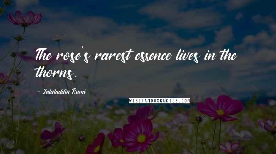 Jalaluddin Rumi Quotes: The rose's rarest essence lives in the thorns.