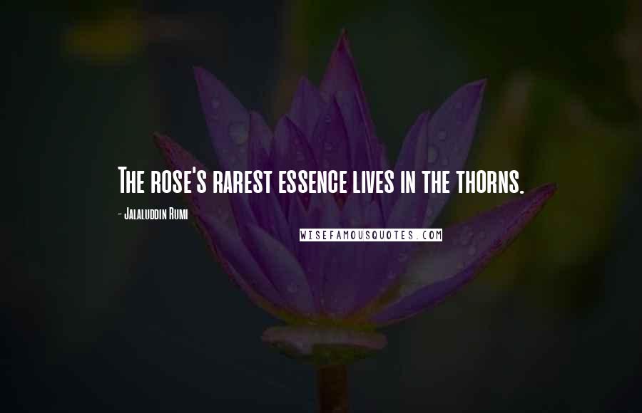 Jalaluddin Rumi Quotes: The rose's rarest essence lives in the thorns.