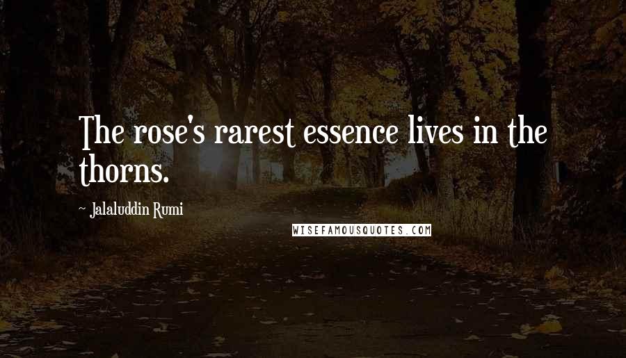 Jalaluddin Rumi Quotes: The rose's rarest essence lives in the thorns.