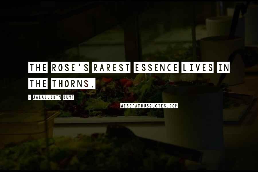 Jalaluddin Rumi Quotes: The rose's rarest essence lives in the thorns.