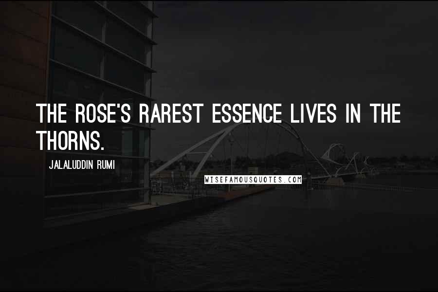 Jalaluddin Rumi Quotes: The rose's rarest essence lives in the thorns.