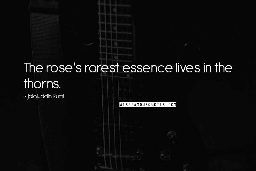 Jalaluddin Rumi Quotes: The rose's rarest essence lives in the thorns.