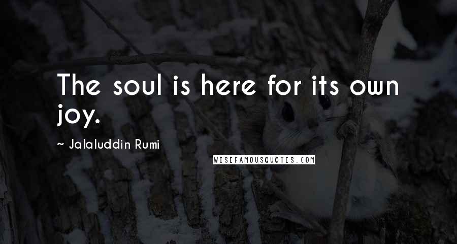 Jalaluddin Rumi Quotes: The soul is here for its own joy.