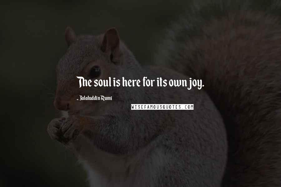 Jalaluddin Rumi Quotes: The soul is here for its own joy.