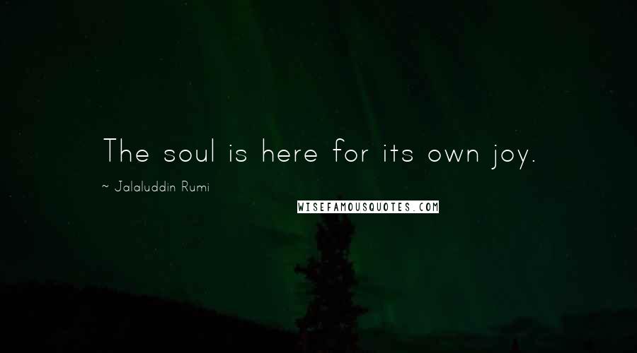 Jalaluddin Rumi Quotes: The soul is here for its own joy.