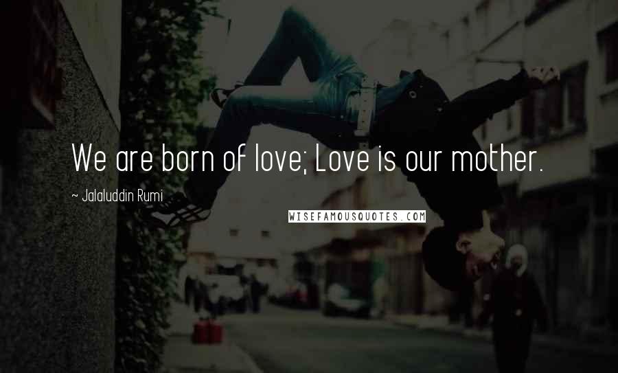 Jalaluddin Rumi Quotes: We are born of love; Love is our mother.