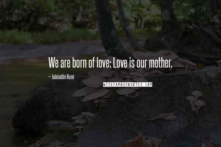 Jalaluddin Rumi Quotes: We are born of love; Love is our mother.