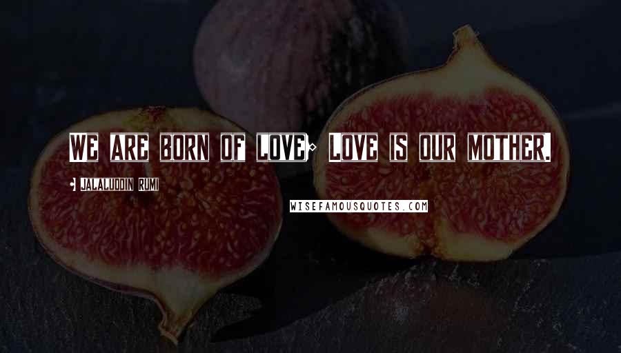 Jalaluddin Rumi Quotes: We are born of love; Love is our mother.