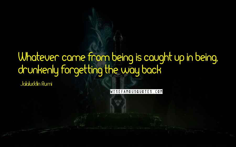 Jalaluddin Rumi Quotes: Whatever came from being is caught up in being, drunkenly forgetting the way back