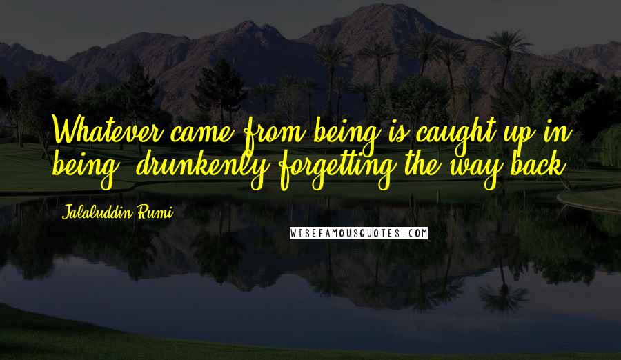 Jalaluddin Rumi Quotes: Whatever came from being is caught up in being, drunkenly forgetting the way back