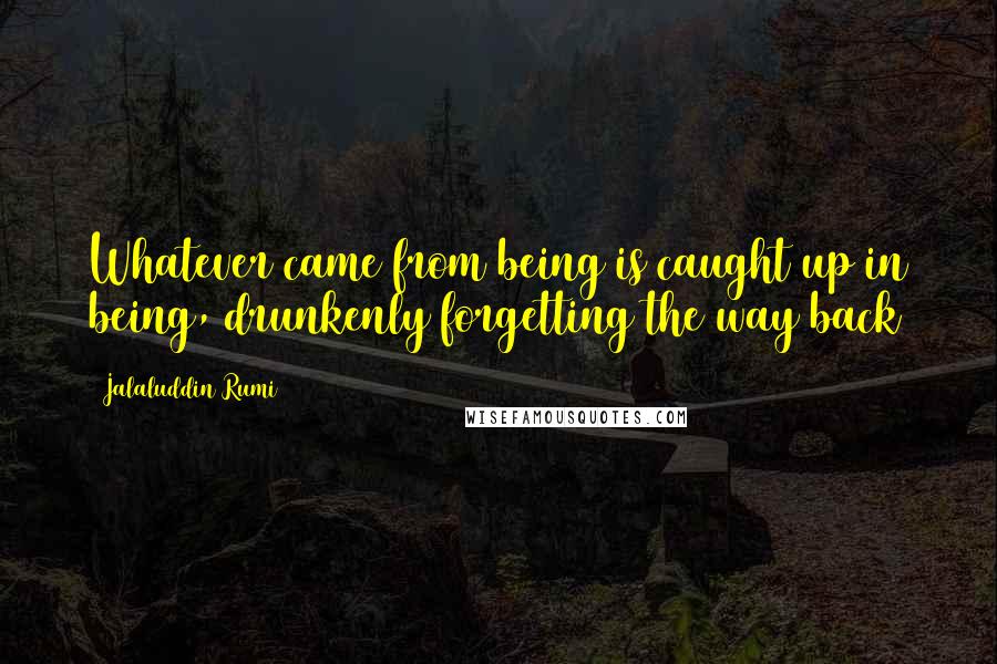 Jalaluddin Rumi Quotes: Whatever came from being is caught up in being, drunkenly forgetting the way back