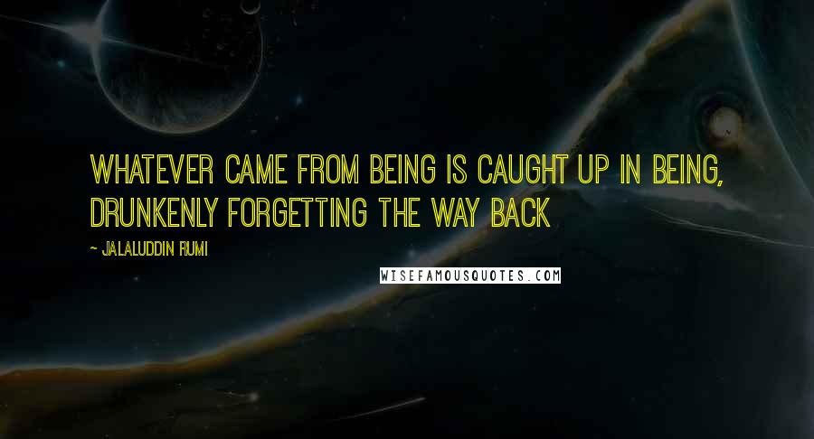 Jalaluddin Rumi Quotes: Whatever came from being is caught up in being, drunkenly forgetting the way back