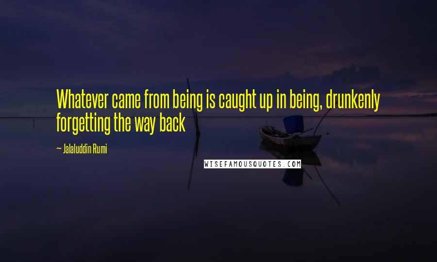 Jalaluddin Rumi Quotes: Whatever came from being is caught up in being, drunkenly forgetting the way back