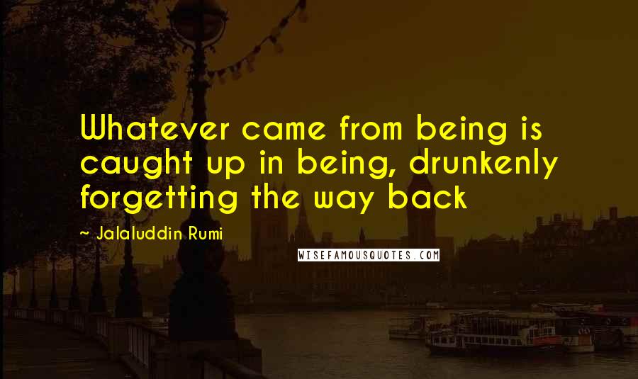 Jalaluddin Rumi Quotes: Whatever came from being is caught up in being, drunkenly forgetting the way back