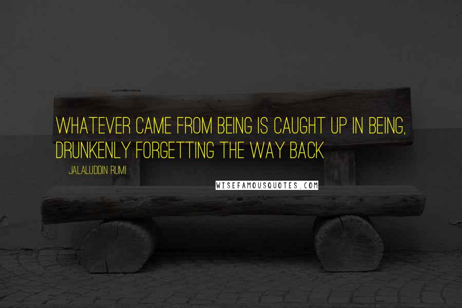 Jalaluddin Rumi Quotes: Whatever came from being is caught up in being, drunkenly forgetting the way back