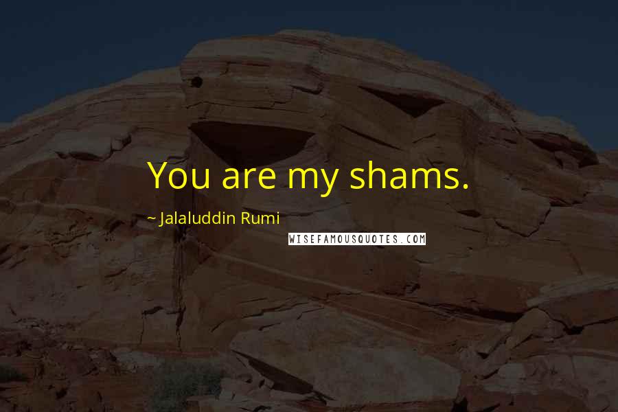 Jalaluddin Rumi Quotes: You are my shams.