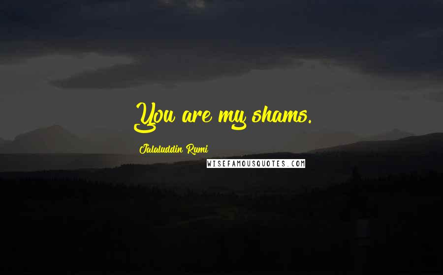 Jalaluddin Rumi Quotes: You are my shams.