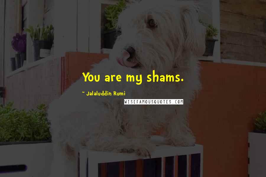 Jalaluddin Rumi Quotes: You are my shams.