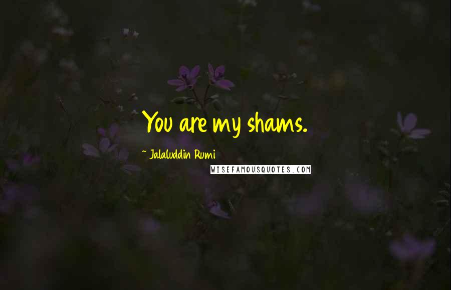 Jalaluddin Rumi Quotes: You are my shams.