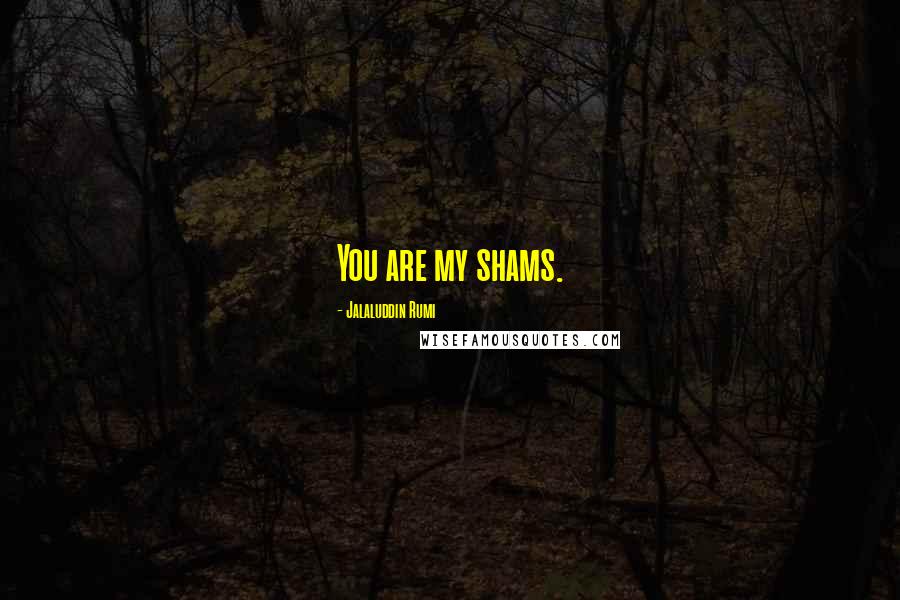 Jalaluddin Rumi Quotes: You are my shams.