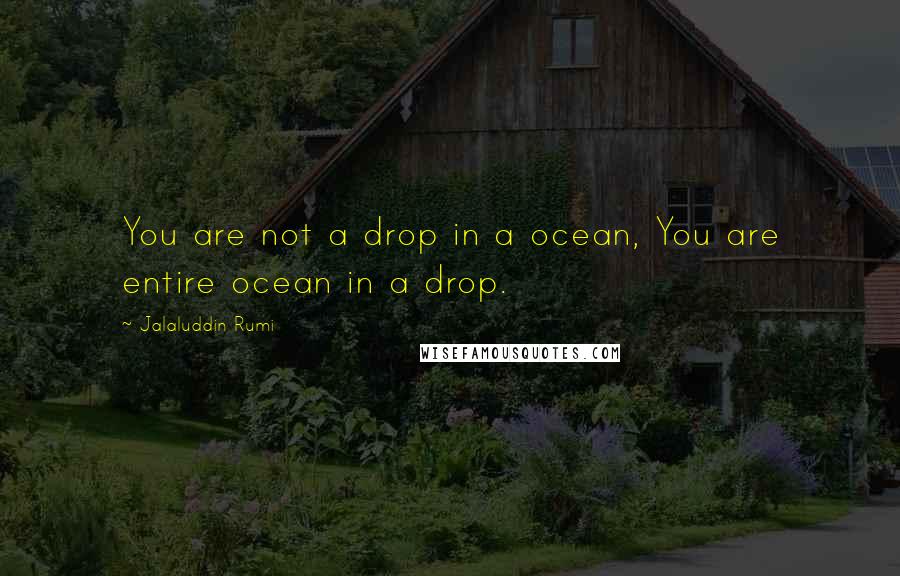 Jalaluddin Rumi Quotes: You are not a drop in a ocean, You are entire ocean in a drop.