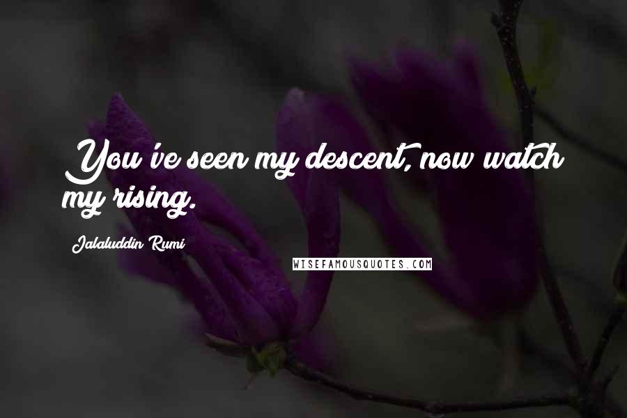 Jalaluddin Rumi Quotes: You've seen my descent, now watch my rising.
