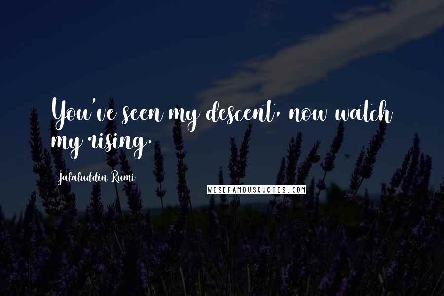 Jalaluddin Rumi Quotes: You've seen my descent, now watch my rising.