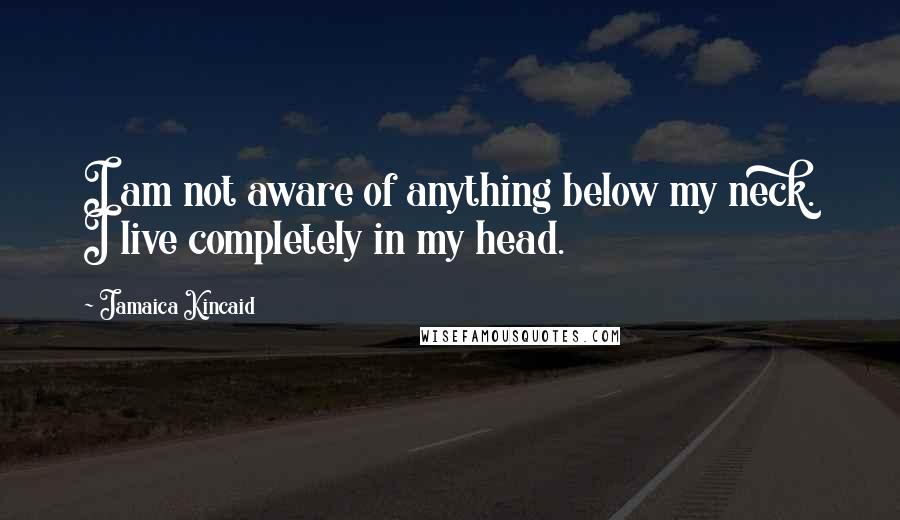 Jamaica Kincaid Quotes: I am not aware of anything below my neck. I live completely in my head.