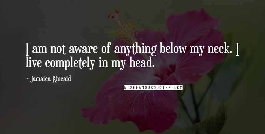 Jamaica Kincaid Quotes: I am not aware of anything below my neck. I live completely in my head.