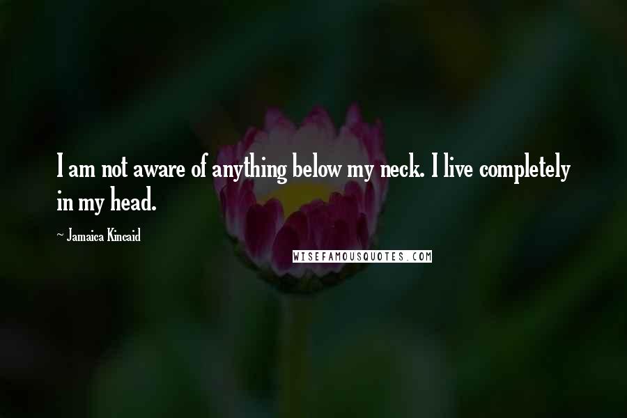 Jamaica Kincaid Quotes: I am not aware of anything below my neck. I live completely in my head.