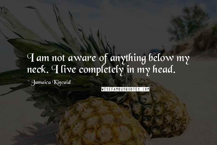 Jamaica Kincaid Quotes: I am not aware of anything below my neck. I live completely in my head.